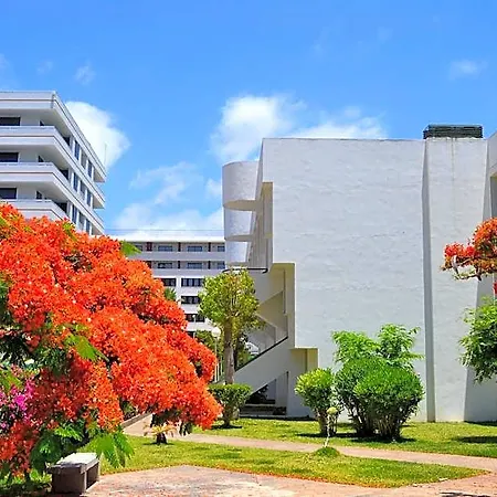 Hotel Optimist Playa de las Américas